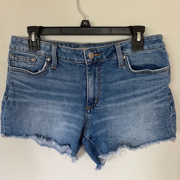 Joe's Jeans Women's Denim Cut-Off Frayed Hem Shorts