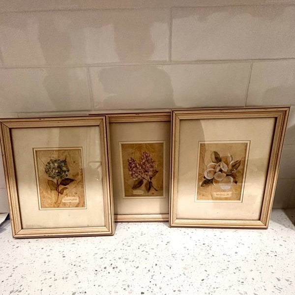 Vintage Set of 3 Framed Botanical Floral Prints - Hydrangea, Lilac, and Magnolia