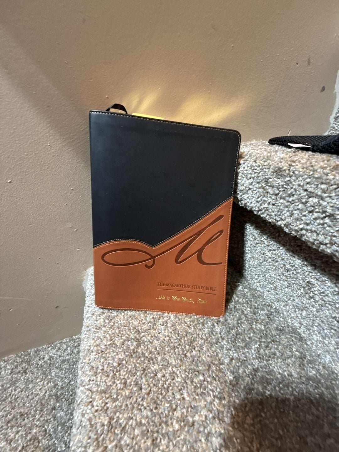 MacArthur Study Bible-NASB - Walmart.com 2