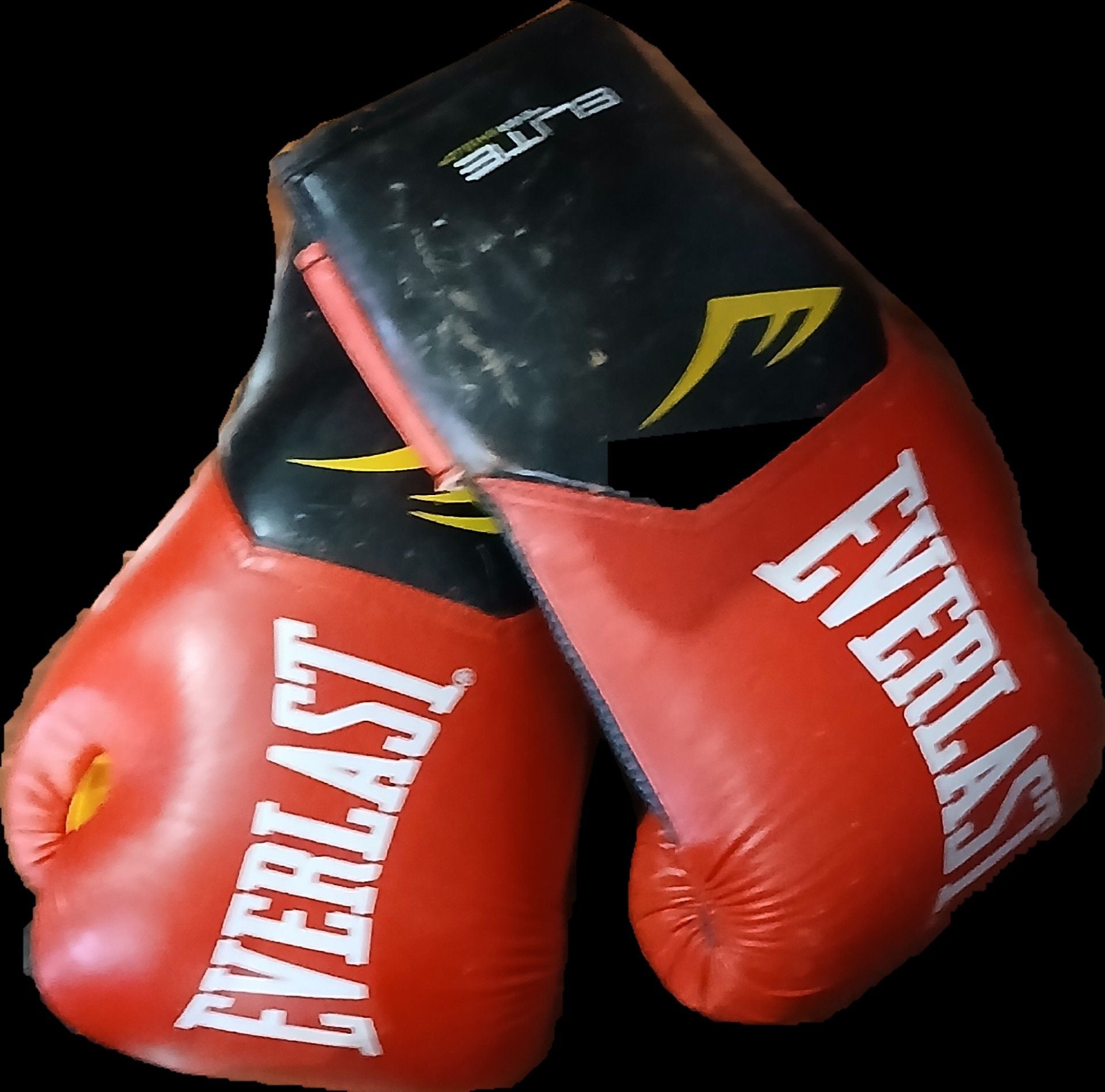 Everlast Elite Pro Style Training Boxing Gloves - Red and Black 1