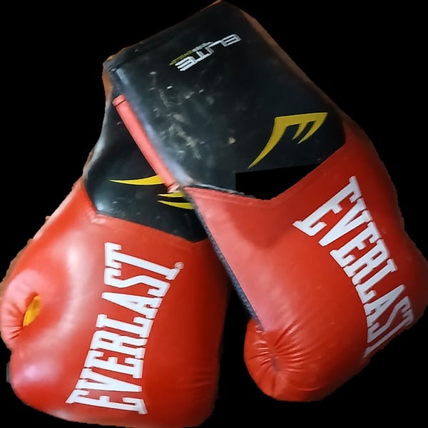 Everlast Elite Pro Style Training Boxing Gloves - Red and Black