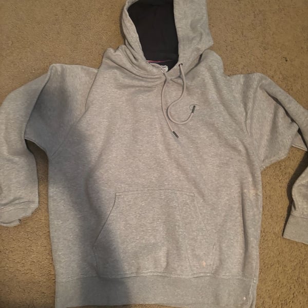 Champion Authentic Athleticwear Men's Pullover Hooded Sweatshirt in Gray