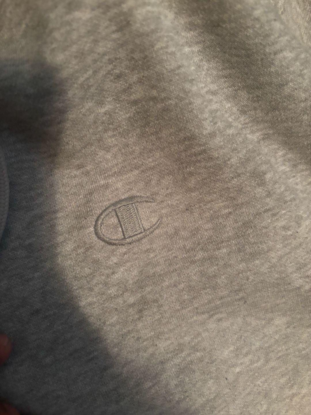 Champion Authentic Athleticwear Men's Pullover Hooded Sweatshirt in Gray 2