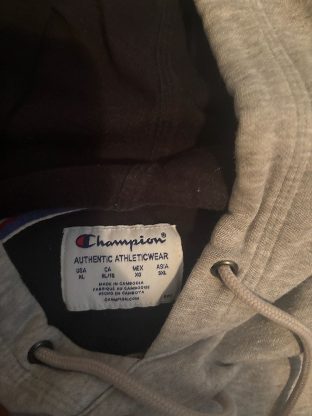 Champion Authentic Athleticwear Men's Pullover Hooded Sweatshirt in Gray 3