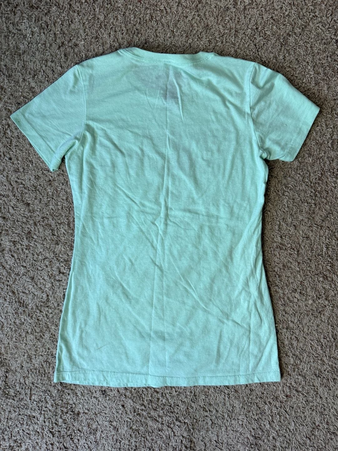 Surf Wyoming Explore & Restore Graphic T-Shirt Mint Green 5