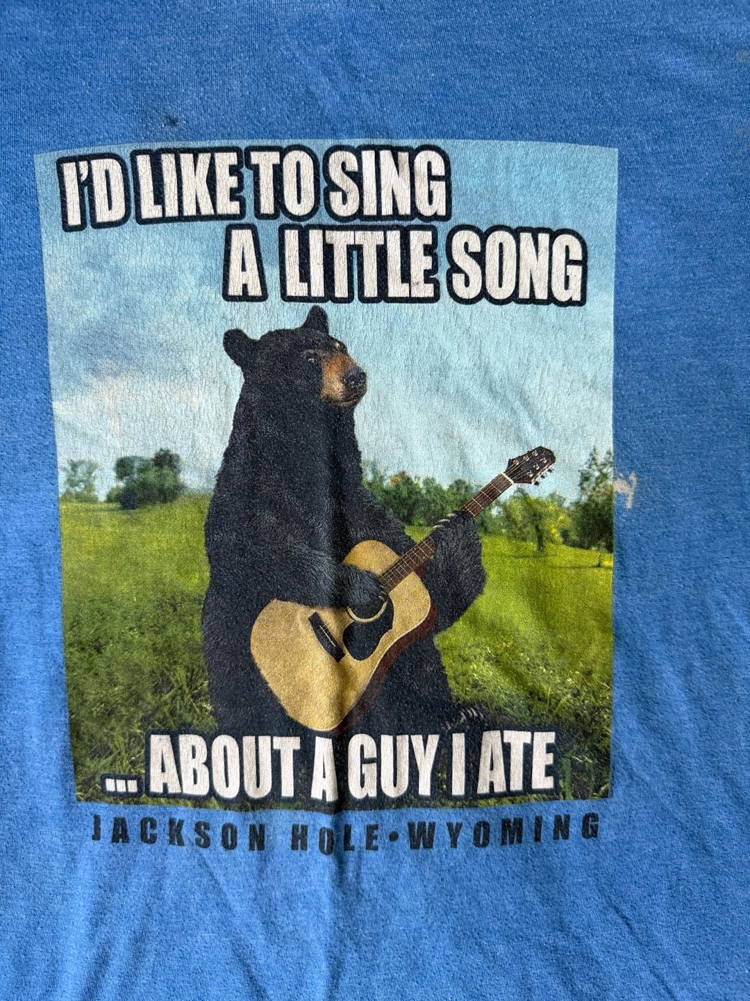 Jackson Hole Wyoming Bear Playing Guitar Graphic T-Shirt 3