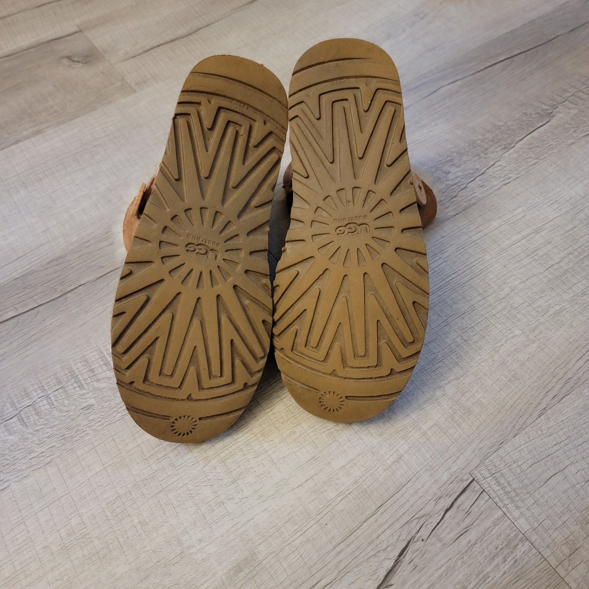 UGG Classic Bailey Button Mini Sheepskin Suede Ankle Boots in Chestnut 5