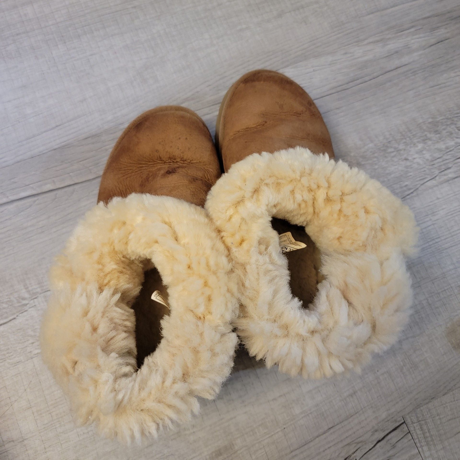 UGG Classic Bailey Button Mini Sheepskin Suede Ankle Boots in Chestnut 6