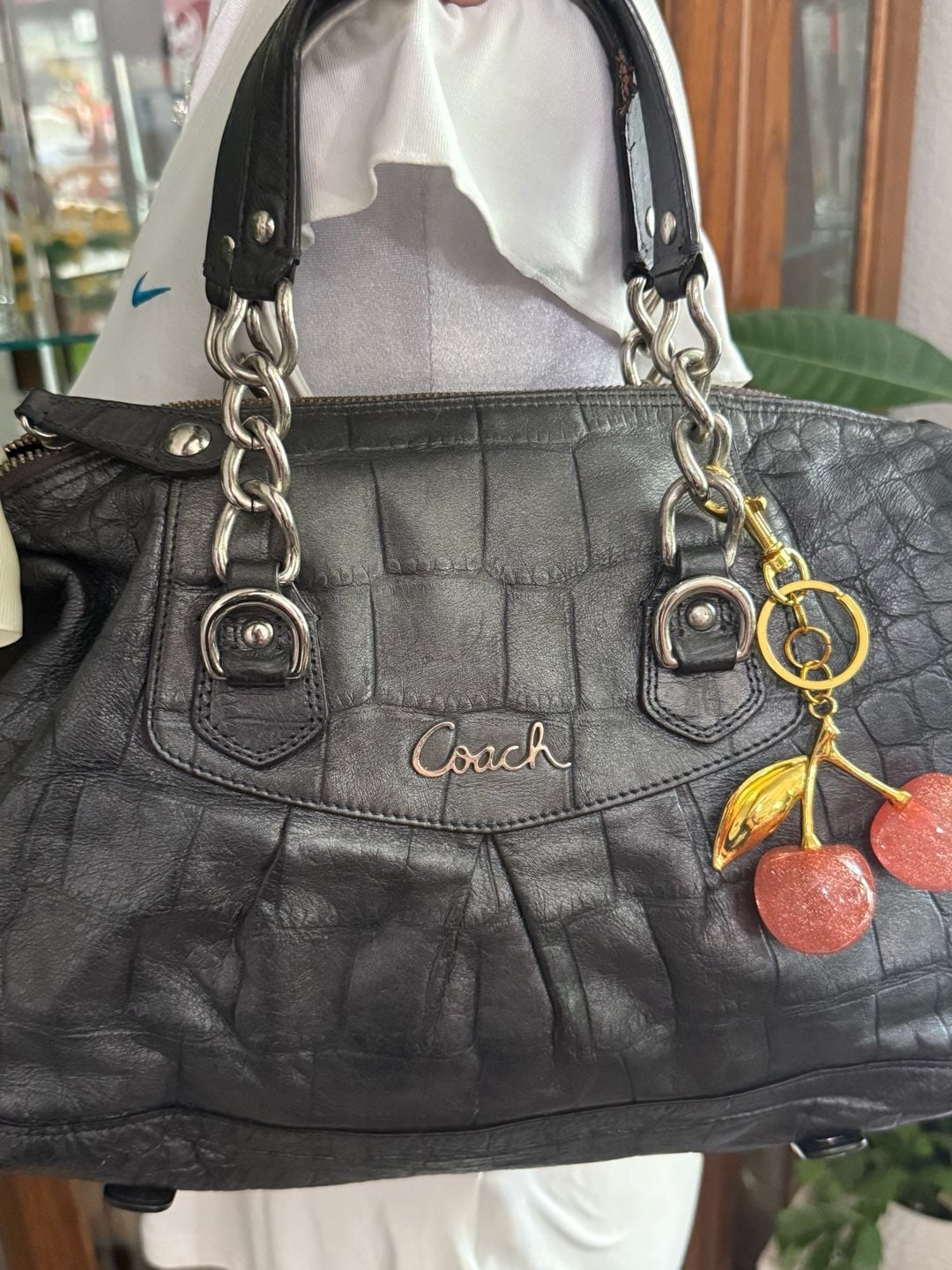 Coach Ashley Croc-Embossed Satchel 3