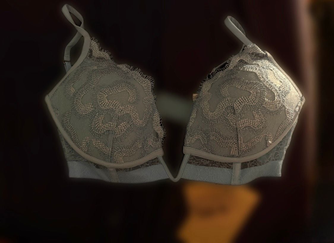 La Perla Metallic Lace Plunge Bra 1