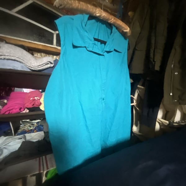 Basic Editions Women's Turquoise Sleeveless Button-Down Collared Blouse