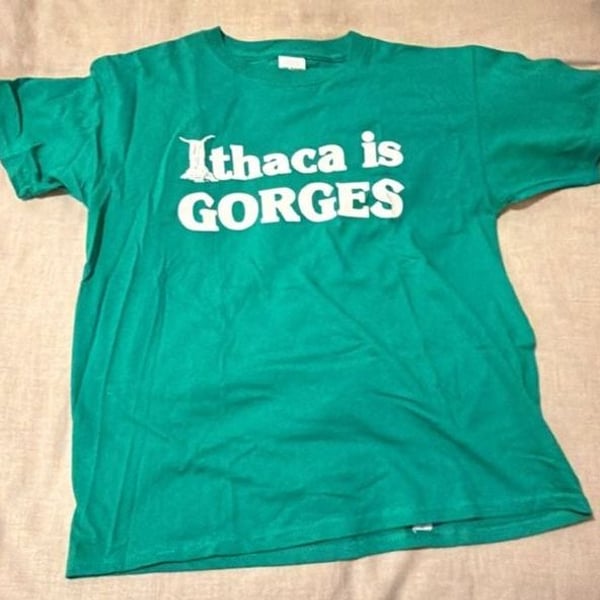 Gildan Ultra Cotton Youth Ithaca is Gorges Graphic T-Shirt