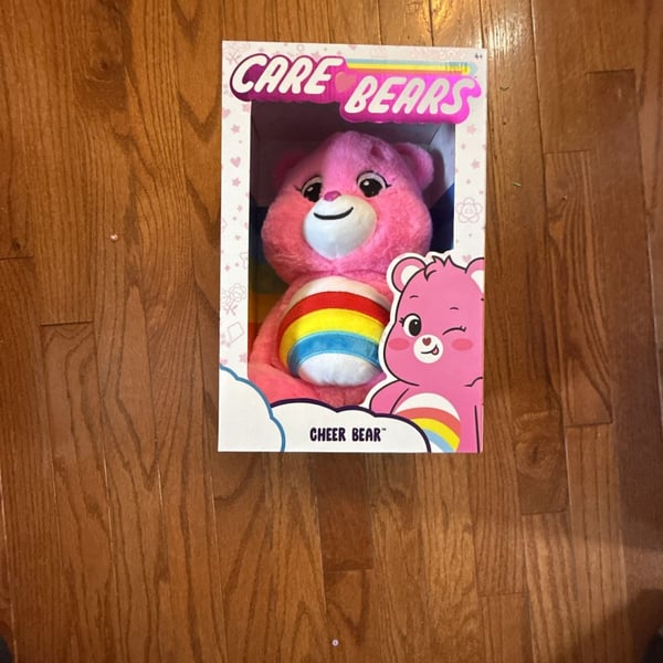 Care Bears 14" Cheer Bear Plush Toy In Box