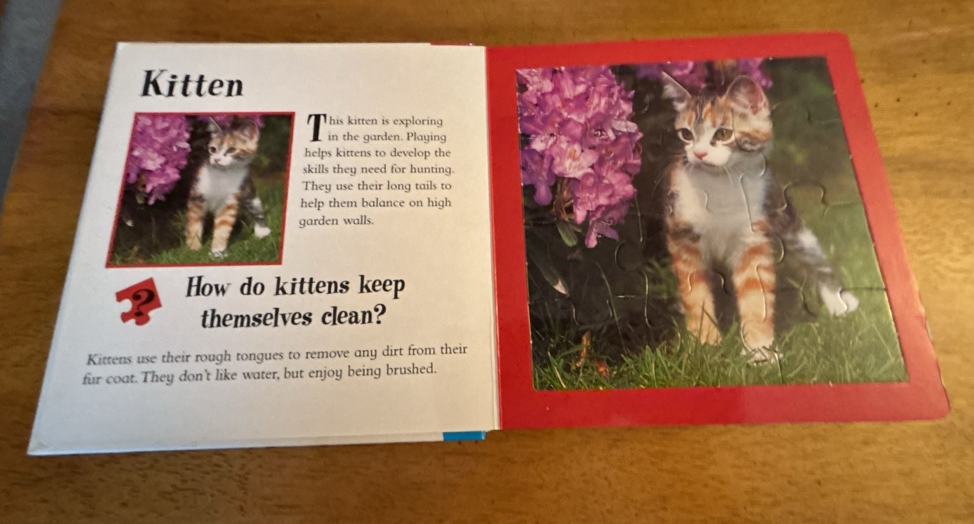 Animal Jigsaws: Pets - A Book with Five 12-Piece Puzzles 3
