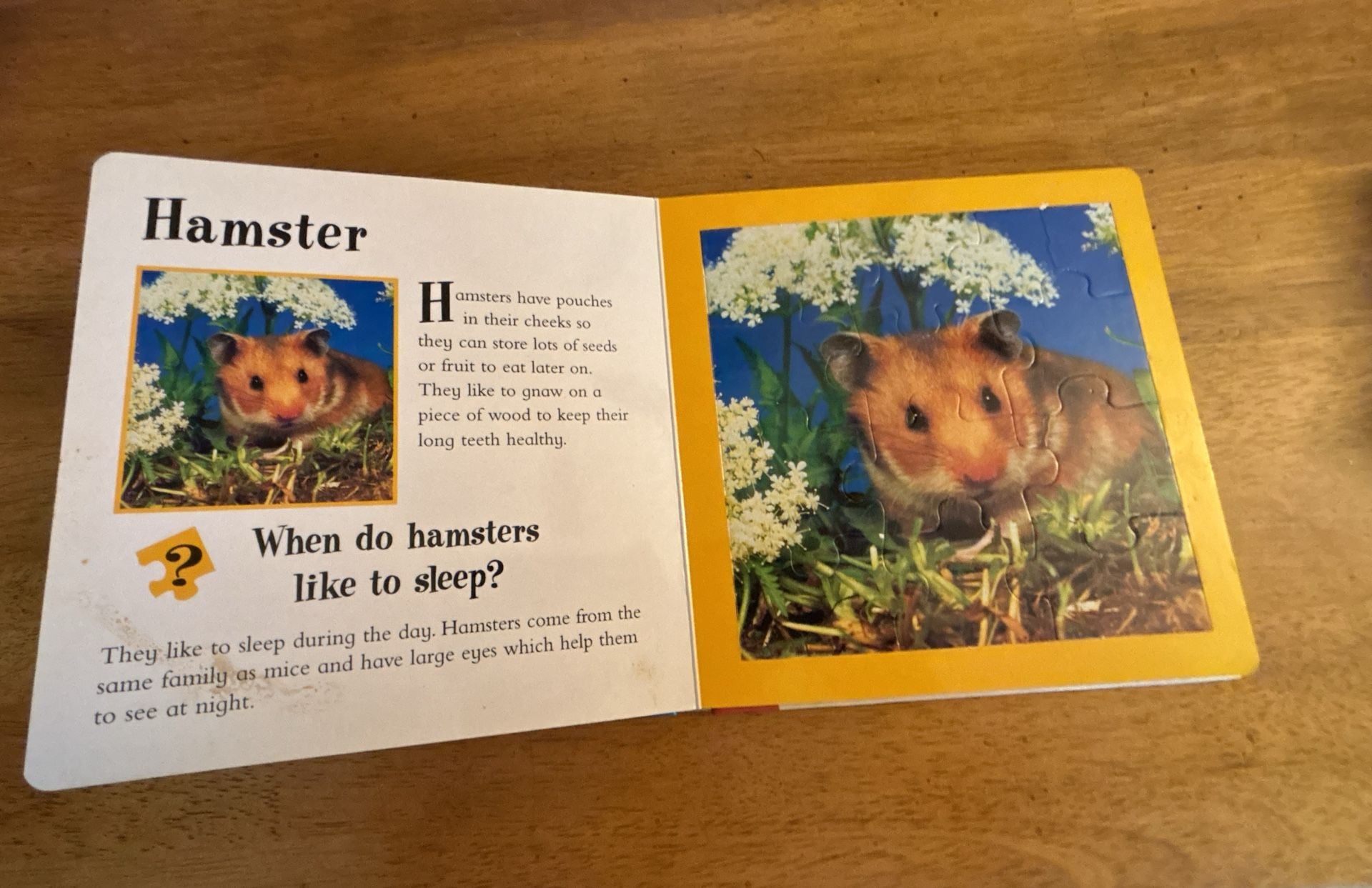 Animal Jigsaws: Pets - A Book with Five 12-Piece Puzzles 6
