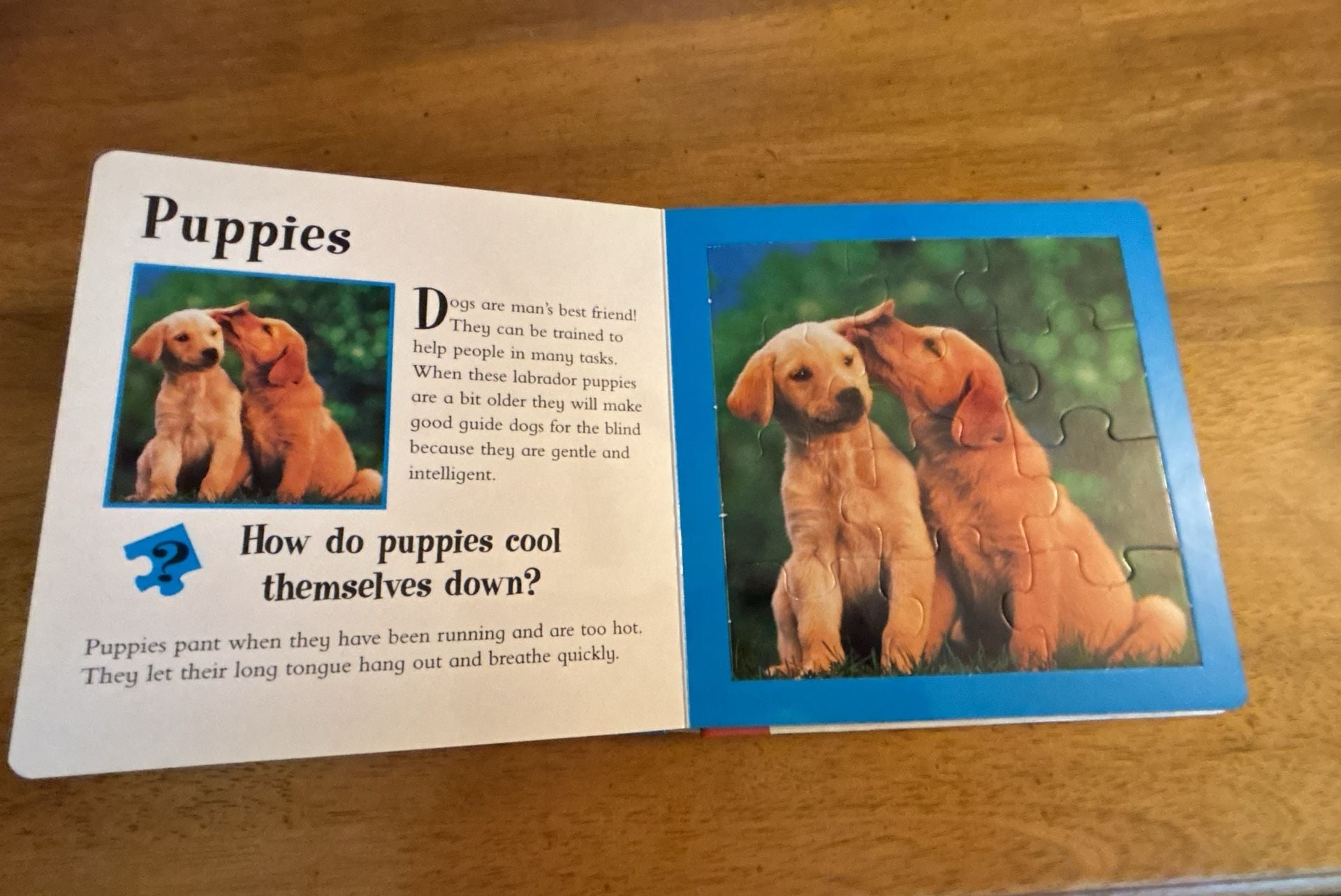 Animal Jigsaws: Pets - A Book with Five 12-Piece Puzzles 7
