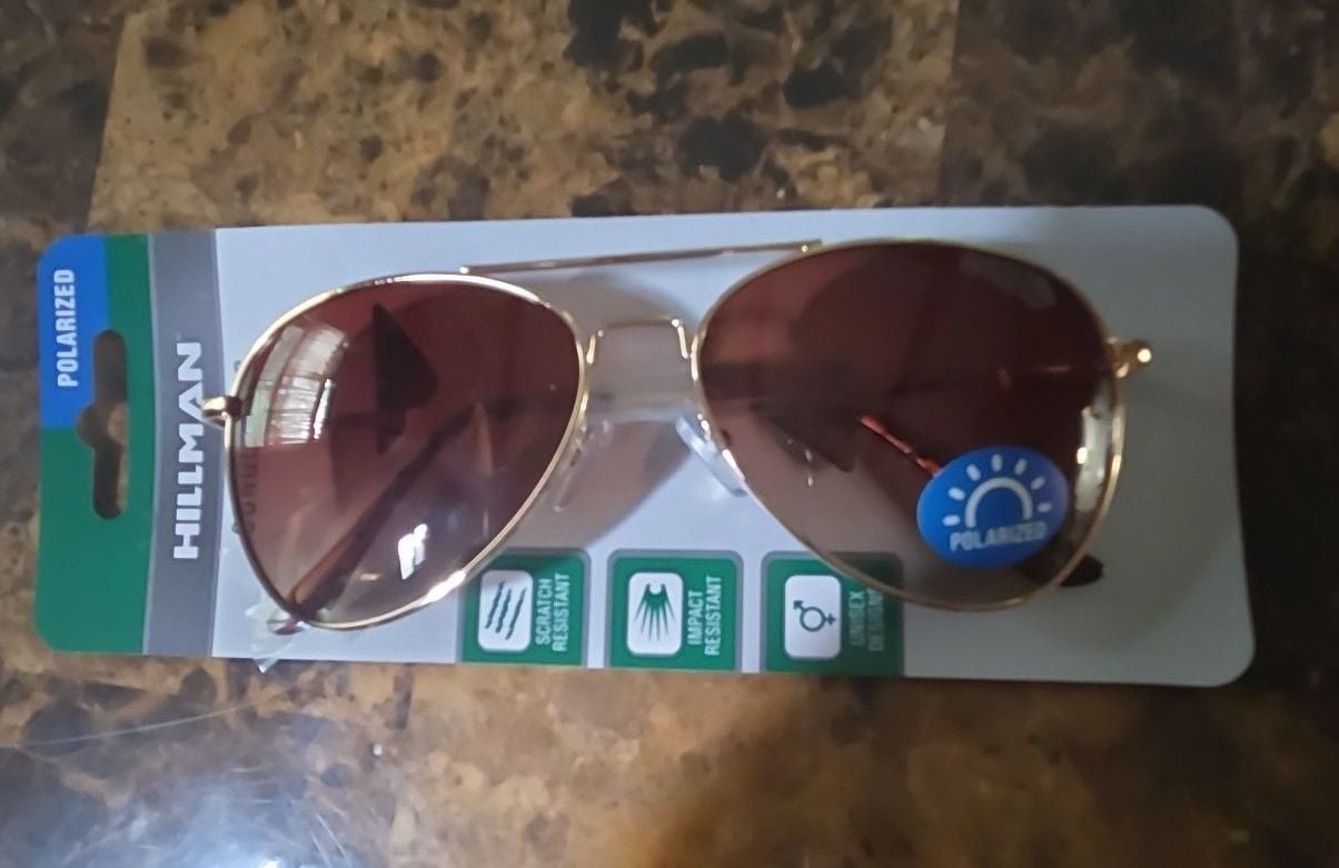 Hillman Polarized Aviator Sunglasses with Gold Frame and Brown Lenses 1