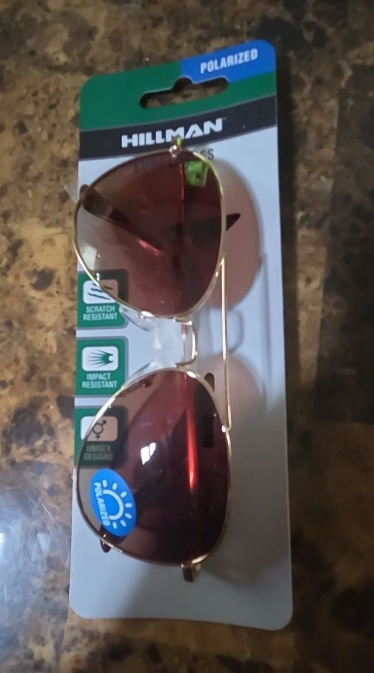Hillman Polarized Aviator Sunglasses with Gold Frame and Brown Lenses 2
