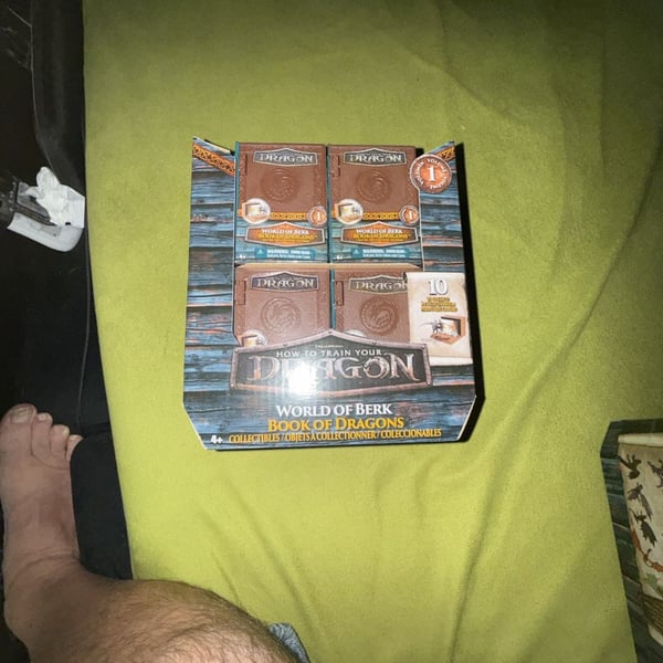 How to Train Your Dragon World of Berk Book of Dragons Series 1 Case (12)