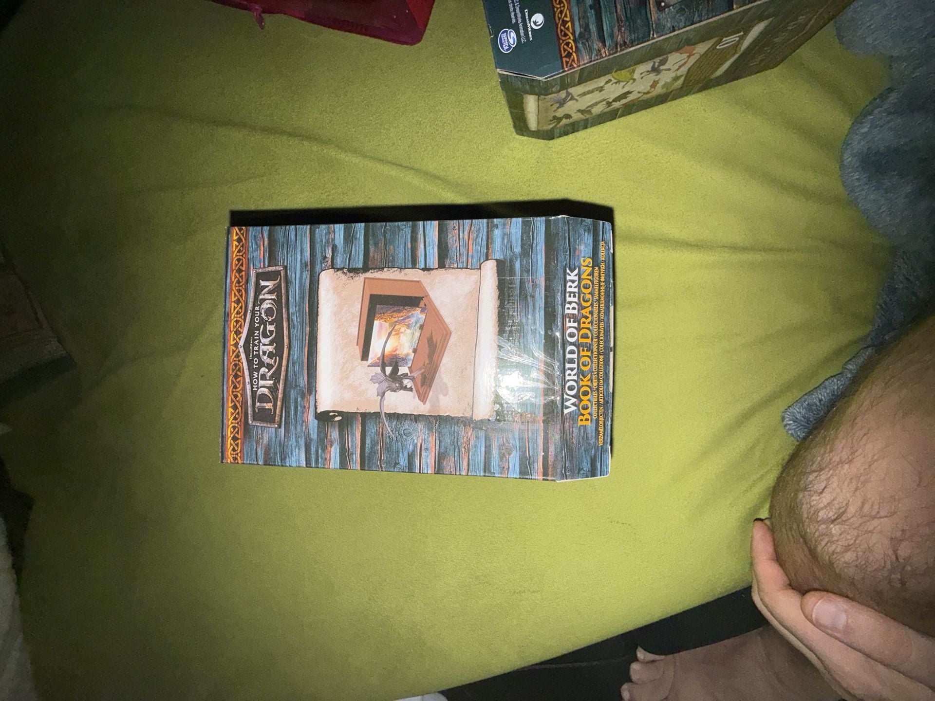 How to Train Your Dragon World of Berk Book of Dragons Series 1 Case (12) 2