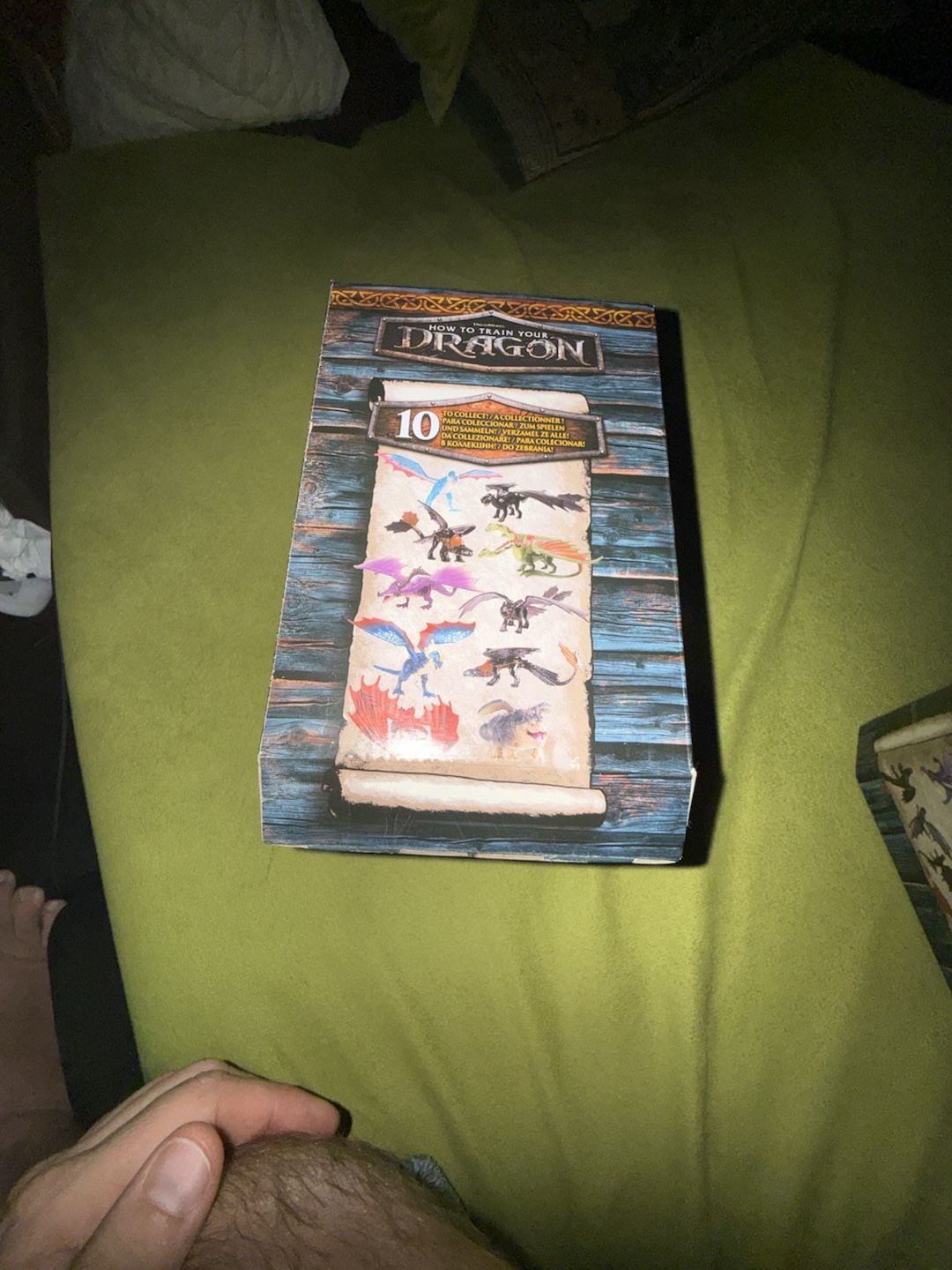 How to Train Your Dragon World of Berk Book of Dragons Series 1 Case (12) 4