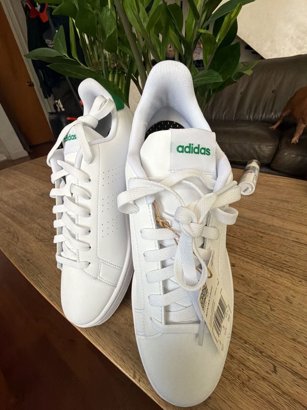Adidas Advantage Men's Athletic Sneakers in White/Green (GZ5300) 2