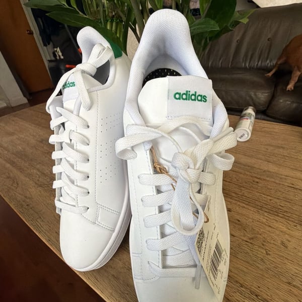 Adidas Advantage Men's Athletic Sneakers in White/Green (GZ5300)