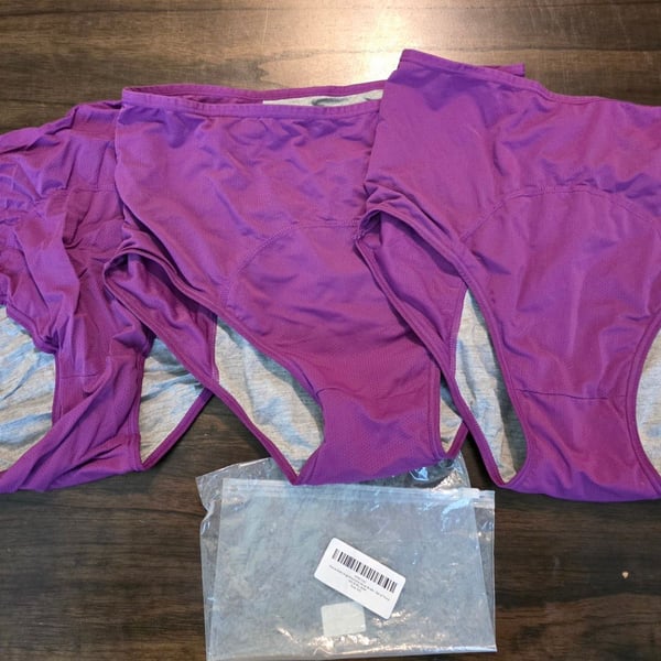 Purple Mesh High-Waist Menstrual Briefs - Set of Three