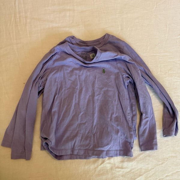 Set of Two Polo Ralph Lauren Kids Long Sleeve Crewneck T-Shirts in Lilac 4T