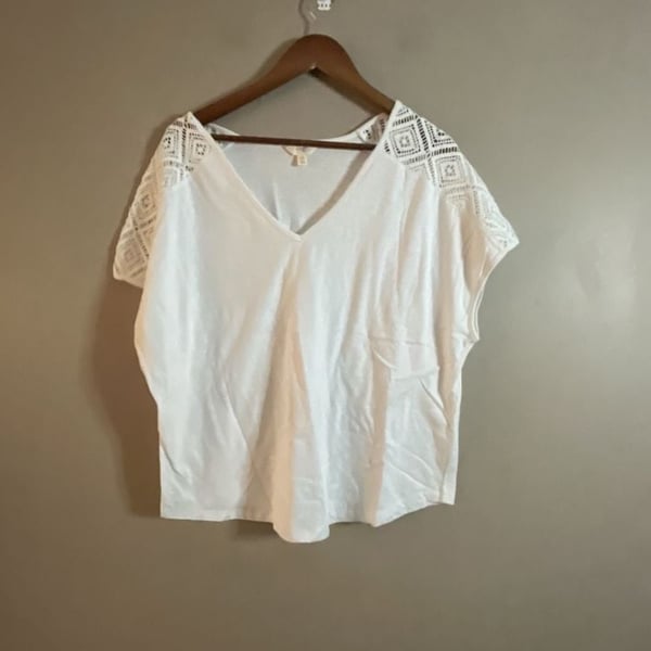 Terra & Sky Women's Plus Size V-Neck Crochet Detail Dolman Sleeve Tee