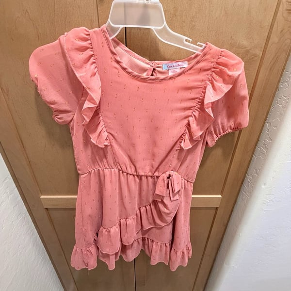 Love & Whimsy Girls Pink Metallic Swiss Dot Ruffle Detail Dress Size 14
