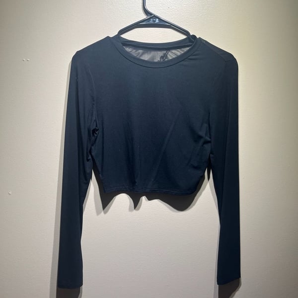Black Long Sleeve Mesh Back Dragon Graphic Crop Top