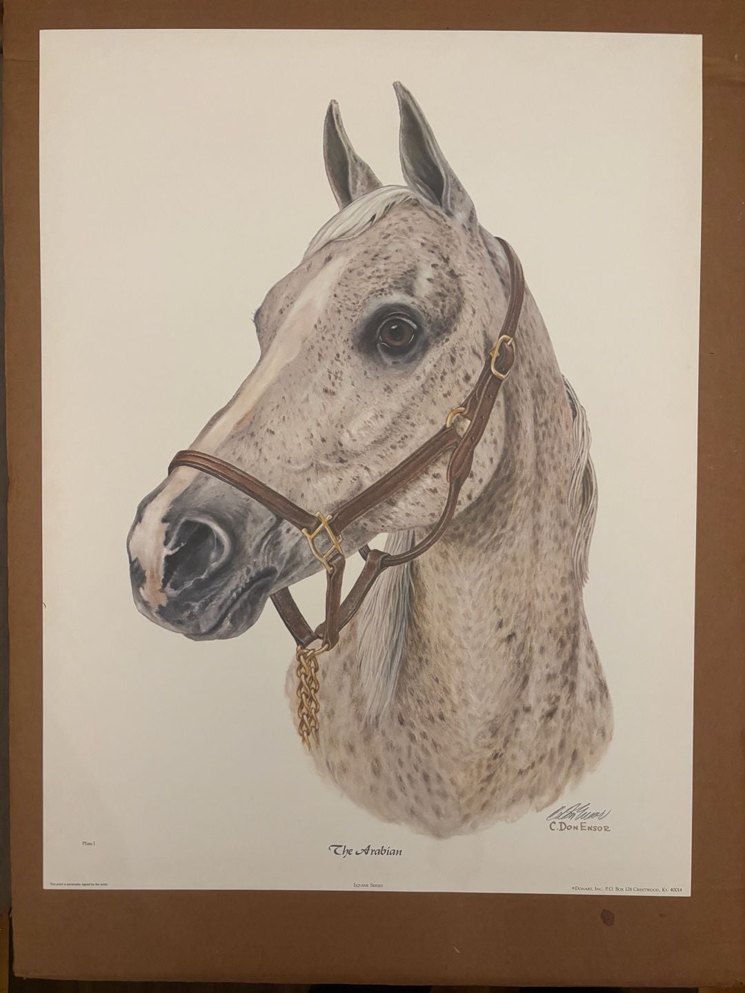 C. Don Ensor Vintage Equine Series Hand-Signed Horse Prints - The Arabian (Plate I) & The Thoroughbred (Plate II) Set 1
