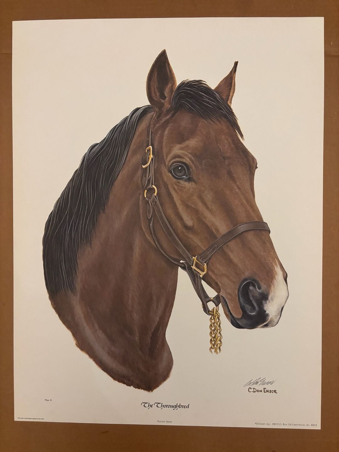 C. Don Ensor Vintage Equine Series Hand-Signed Horse Prints - The Arabian (Plate I) & The Thoroughbred (Plate II) Set 2