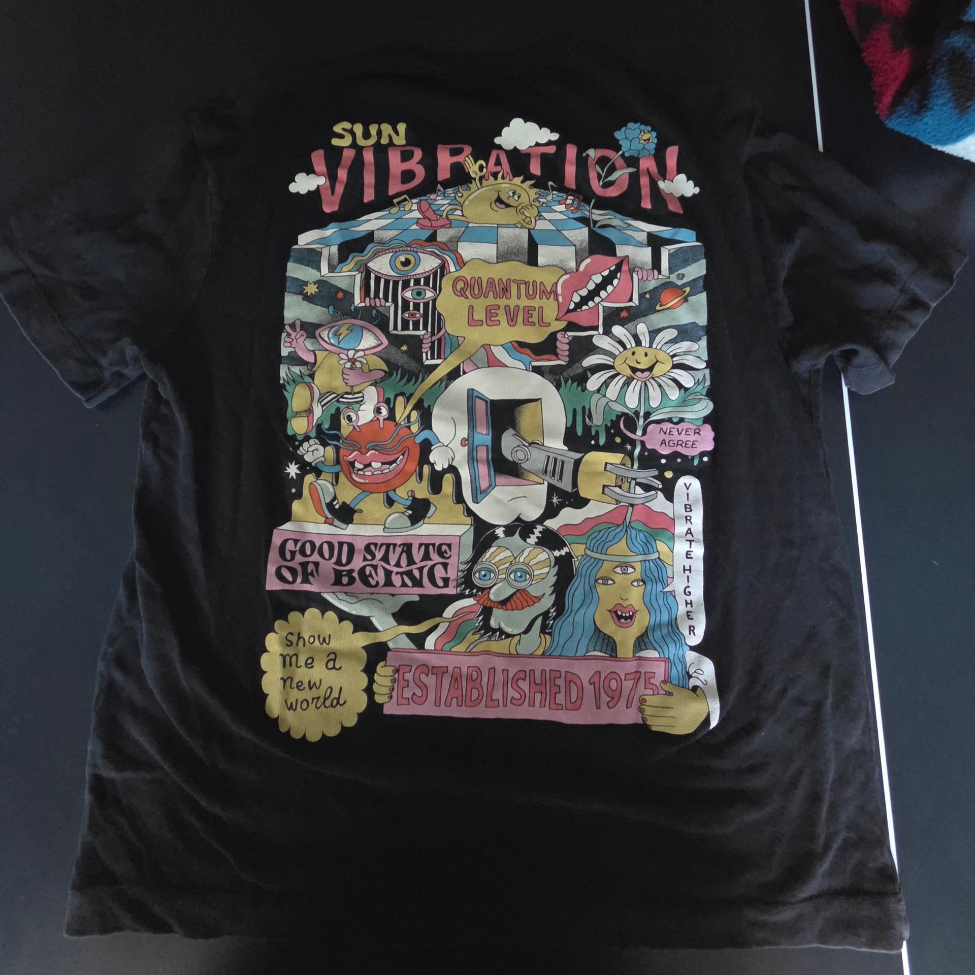 Zara Sun Vibration 'Good State of Being' Graphic T-Shirt 2