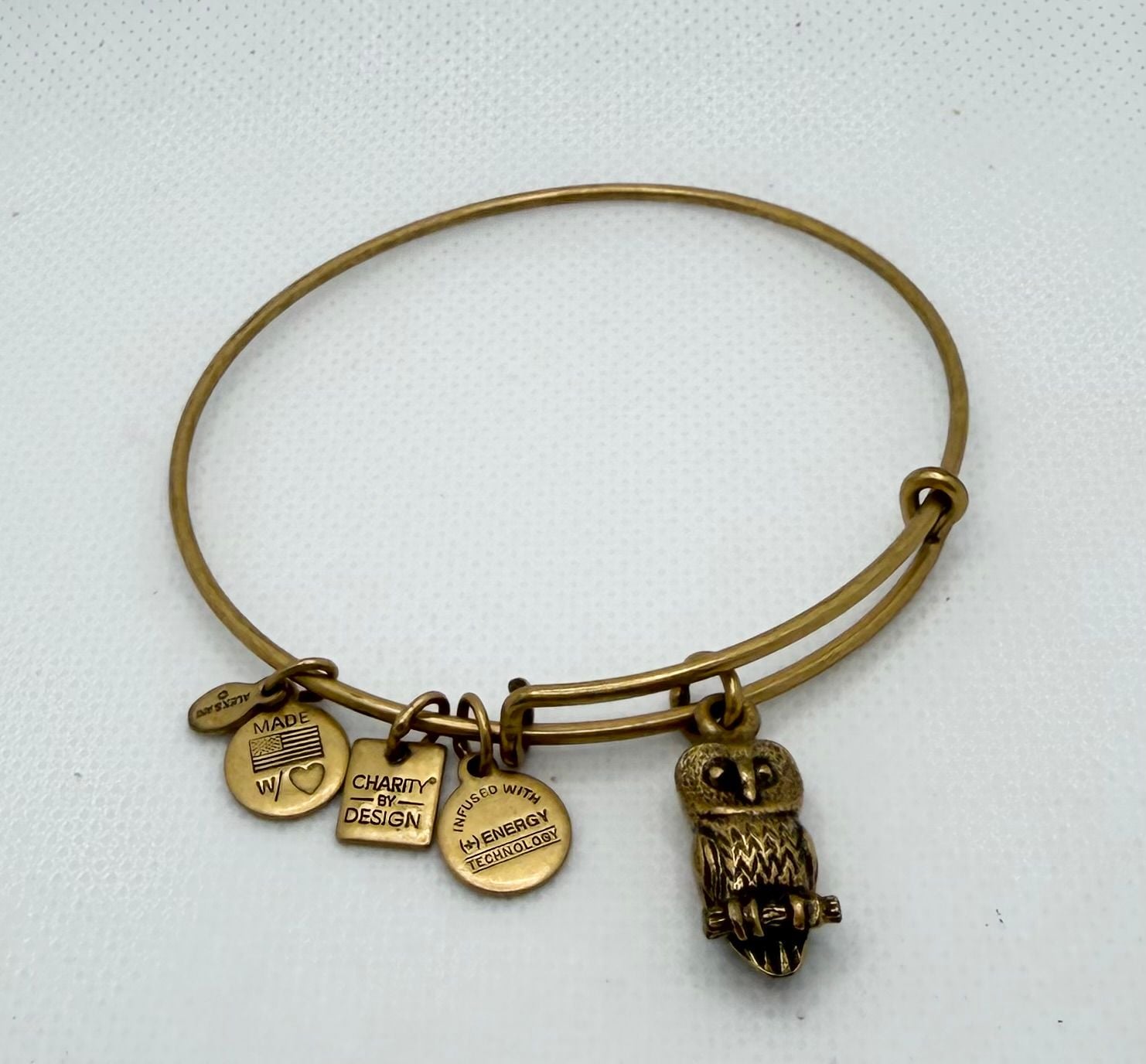 Alex and Ani Ode to the Owl Charm Bangle Bracelet in Rafaelian Gold Finish 2
