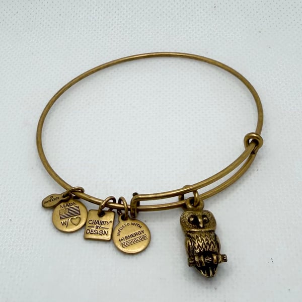 Alex and Ani Ode to the Owl Charm Bangle Bracelet in Rafaelian Gold Finish
