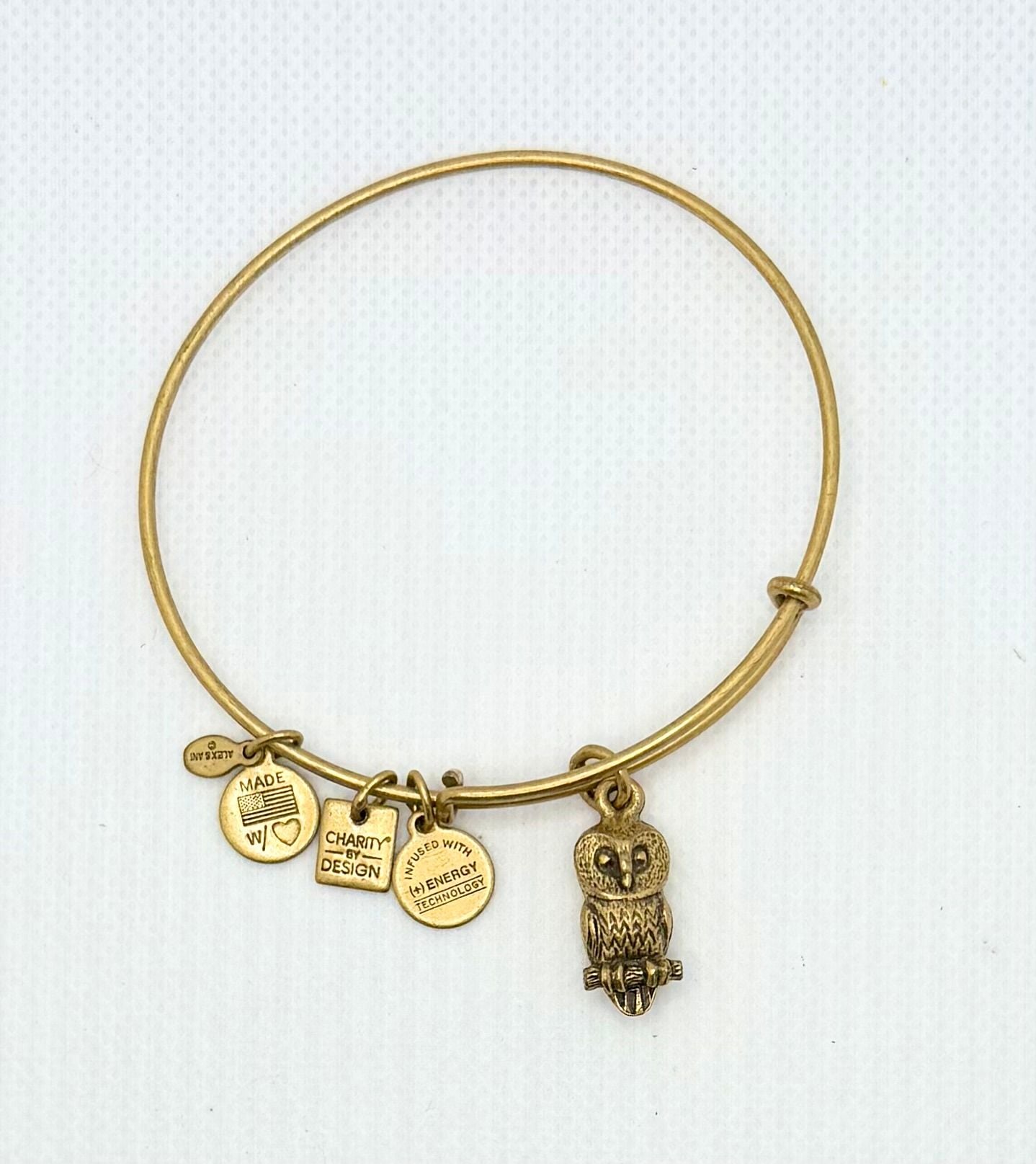 Alex and Ani Ode to the Owl Charm Bangle Bracelet in Rafaelian Gold Finish 3