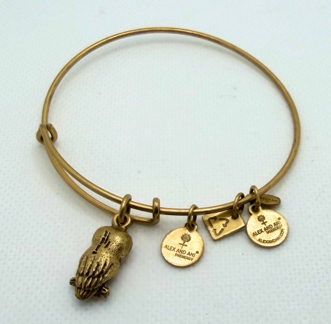 Alex and Ani Ode to the Owl Charm Bangle Bracelet in Rafaelian Gold Finish 4