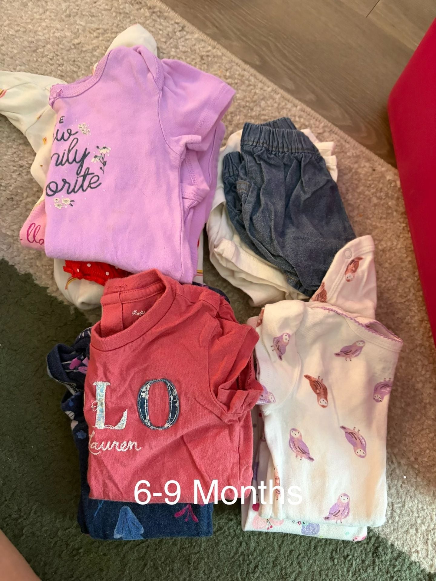 Baby Girl Assorted Bodysuit and Clothing Bundle (6-9 Months) 1