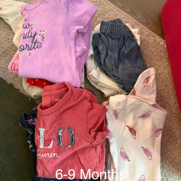Baby Girl Assorted Bodysuit and Clothing Bundle (6-9 Months)