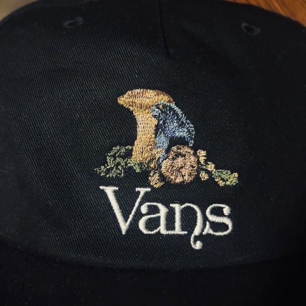 Vans Trippy Shallow Unstructured Snapback Hat with Mushroom Embroidery