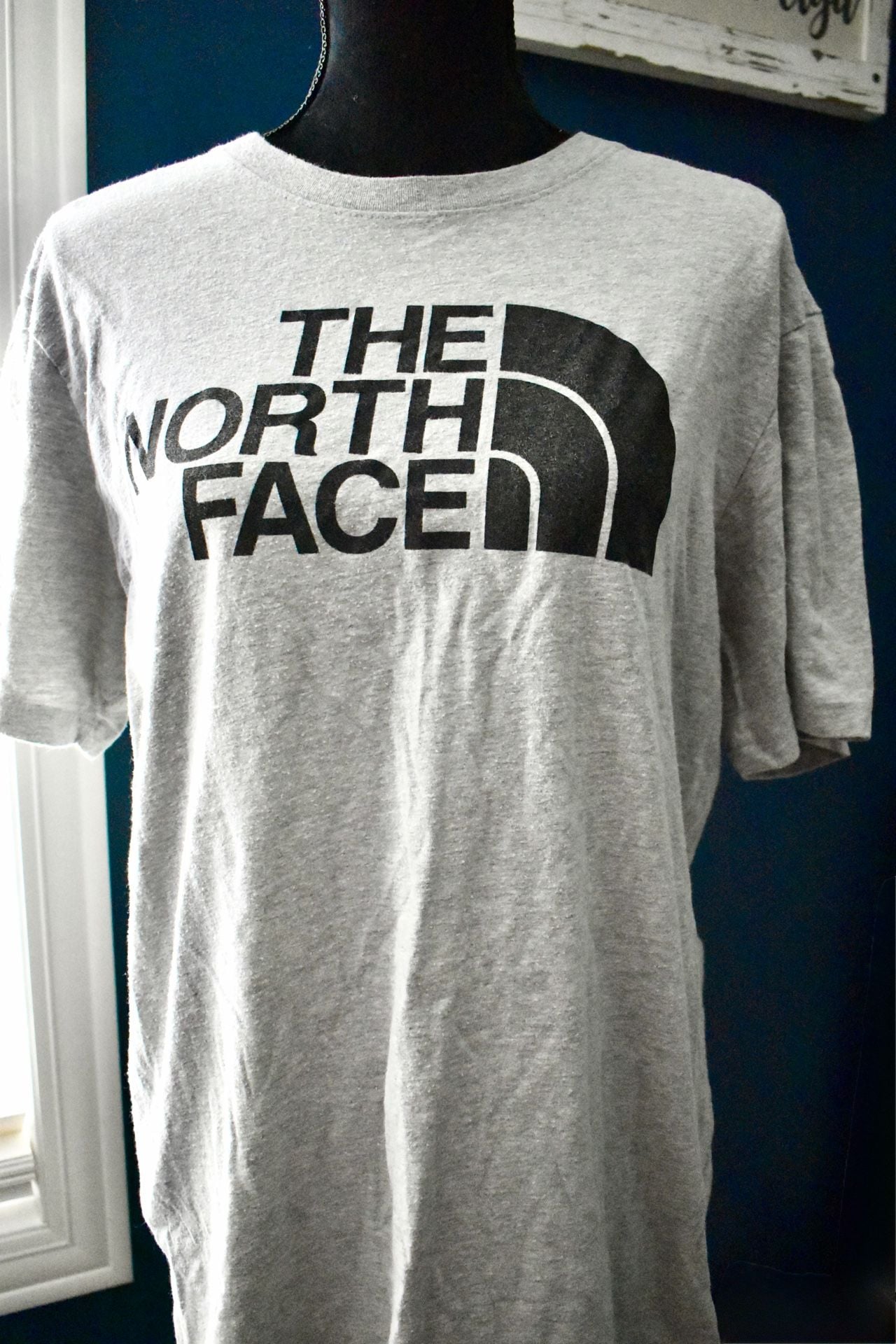 The North Face Men's Half Dome Logo Gray Short Sleeve T-Shirt 2