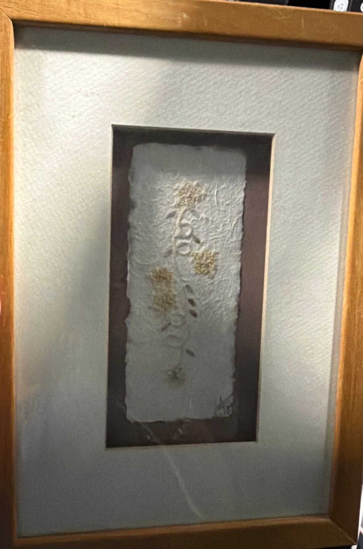 Framed Pressed Flower Wall Art - Botanical Decor - Signed by Artist & Dated 1999 - Oshibana - , 1