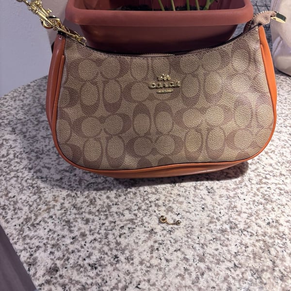 Coach Teri Mini Shoulder Bag in Signature Canvas