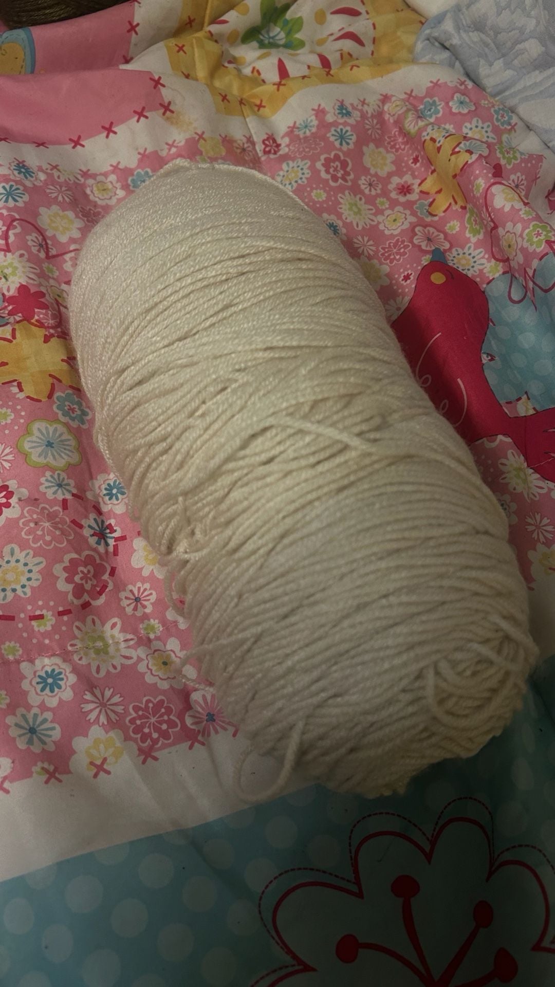 Caron One Pound Cream Acrylic Craft Yarn Skein 1