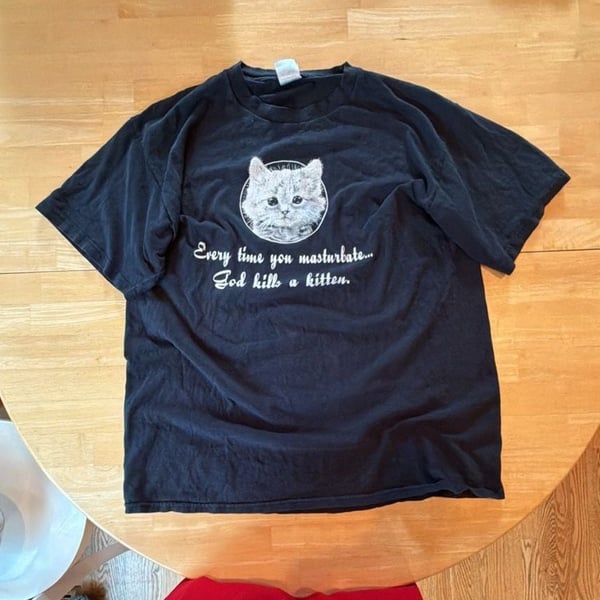 Fruit of the Loom Heavy Cotton Every Time You Masturbate God Kills a Kitten Graphic T-Shirt