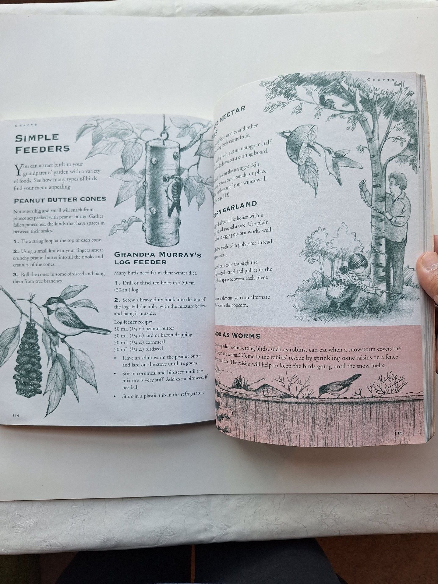 Kids and Grandparents: An Activity Book by Ann Love and Jane Drake 7