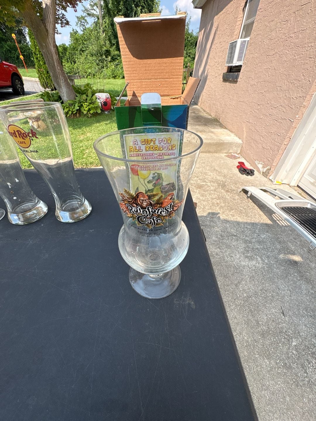 Rainforest Cafe Trump Plaza Atlantic City Souvenir Hurricane Cocktail Glass 1
