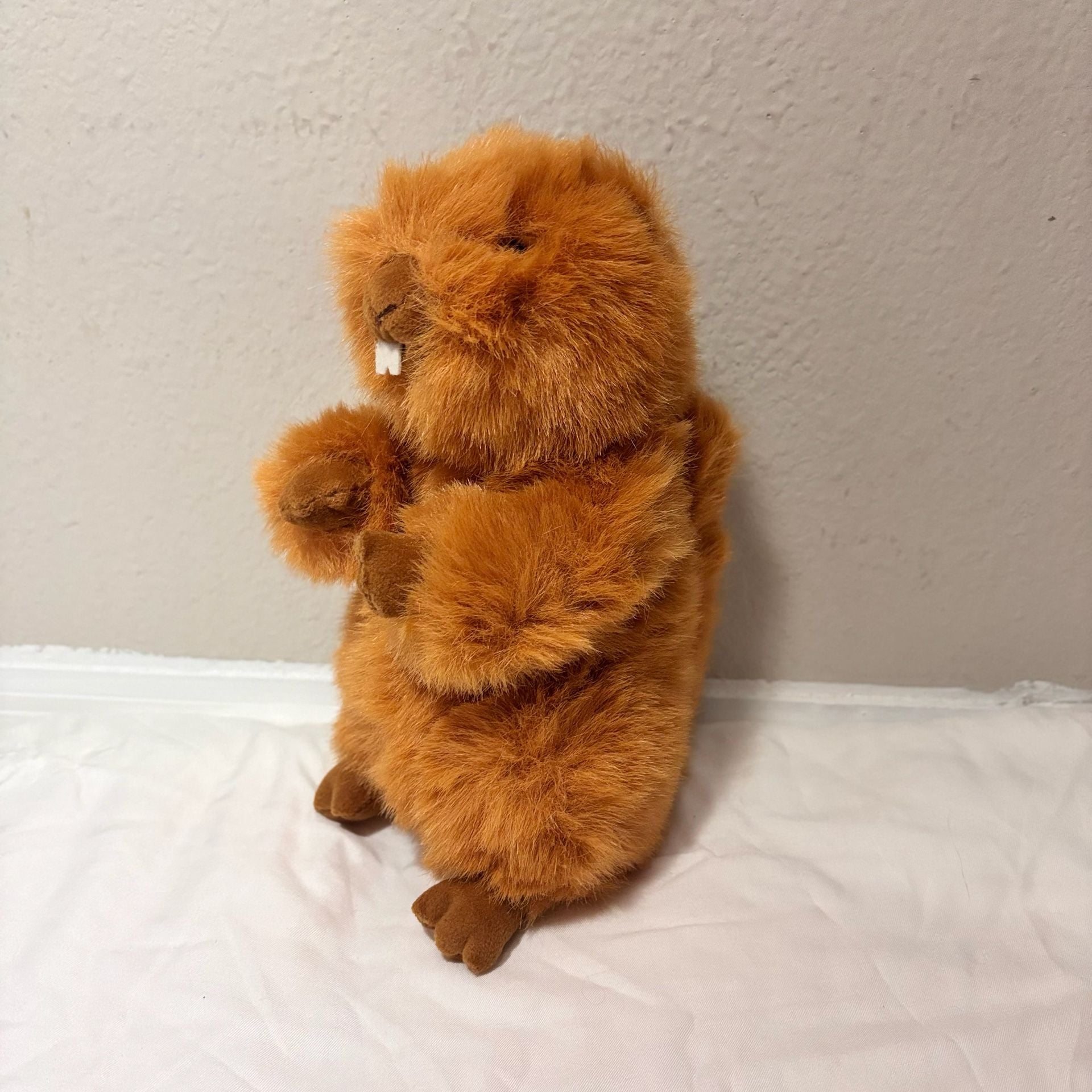 Gund Brown Beaver/Groundhog Plush 10" #44188 3